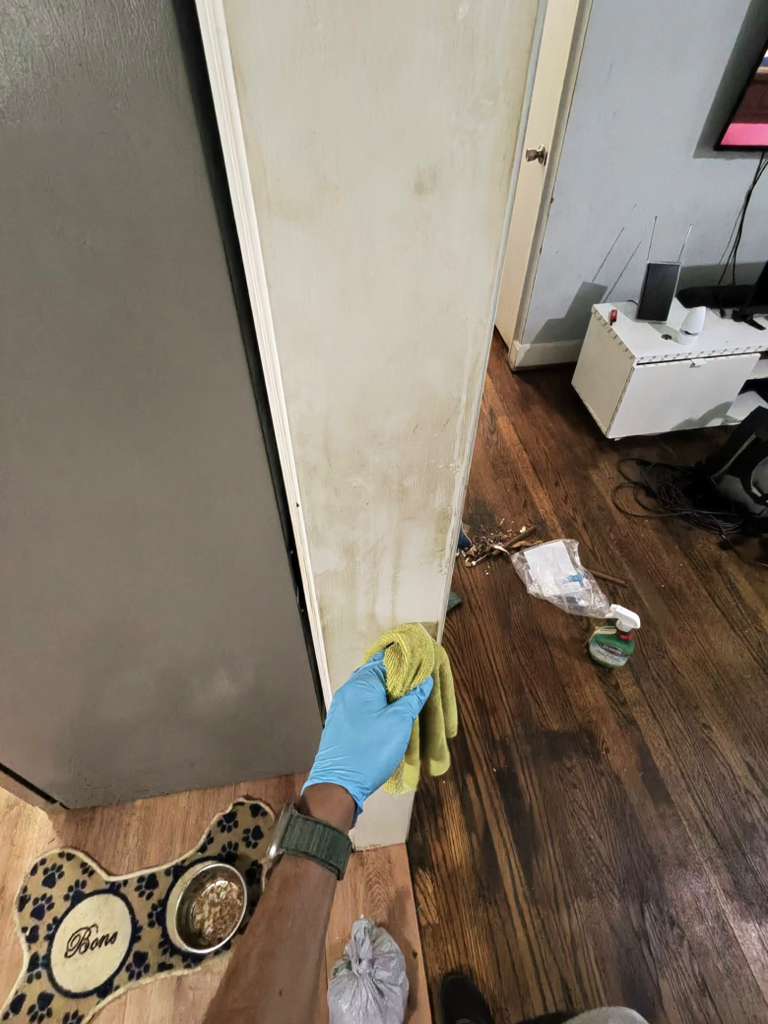 Initial deep cleaning service North Carolina - General view